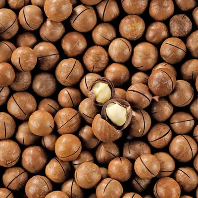Premium Australian Cracked Macadamia Nuts (500g)